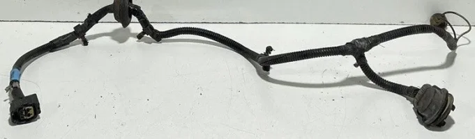 light harness.jpg