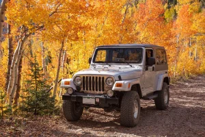 OldBuzzard_LimeCreekRoad_02.webp OldBuzzard_LimeCreekRoad_02.webp