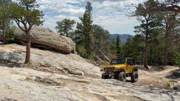 IMG_6383.jpeg IMG_6383.jpeg