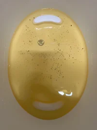 tempImageKOCErm.webp tempImageKOCErm.webp