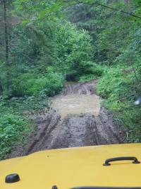 20180619_150022.jpg 20180619_150022.jpg