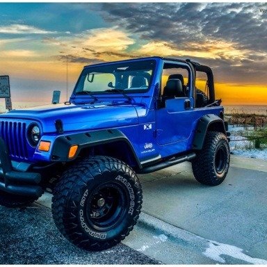 TJ chirping - thought it was angry sparrows | Jeep Wrangler TJ Forum