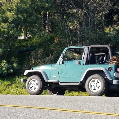 Thumping from front driver side wheel | Jeep Wrangler TJ Forum