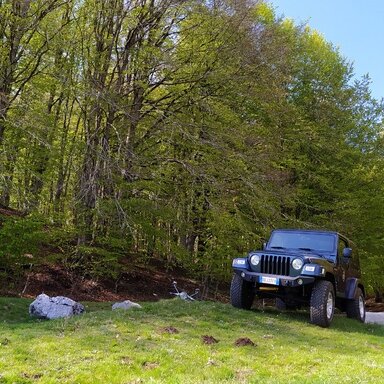 2005-2006 TJs: OPDA and other problems? | Jeep Wrangler TJ Forum