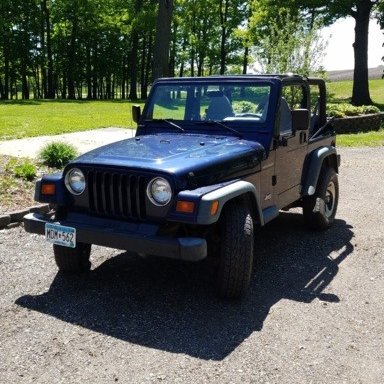 What is the best trim restorer out there? | Jeep Wrangler TJ Forum