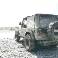Kiwi_Jeeper