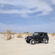 SealsOnWheels