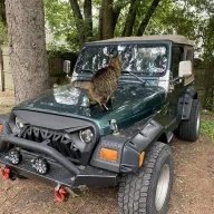 Jeepeatsmy$$$