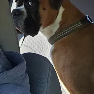 capt chaos
