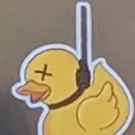 No Ducks