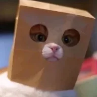 El_Gato