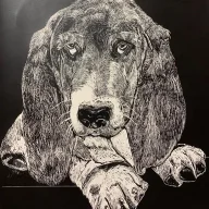Sgt.Radar
