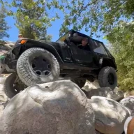 LJ Tom