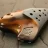Isaiah Abshire
