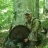 Ridgewalker