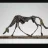 dogged_iron